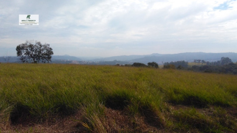 Imagem Terreno à Venda, 235.000 m² em Sorocamirim - São Roque Imagem Terreno à Venda, 235.000 m² em Sorocamirim - São Roque