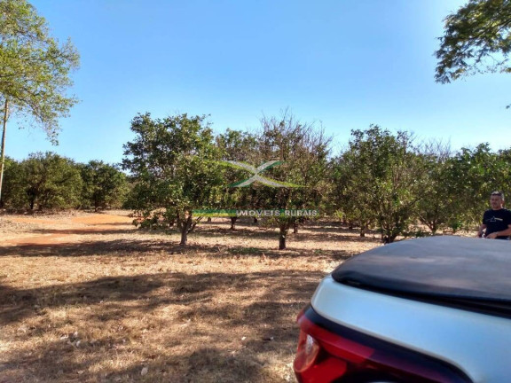 Imagem Fazenda à Venda, 26 m² em Monte Alegre De Minas Imagem Fazenda à Venda, 26 m² em Monte Alegre De Minas