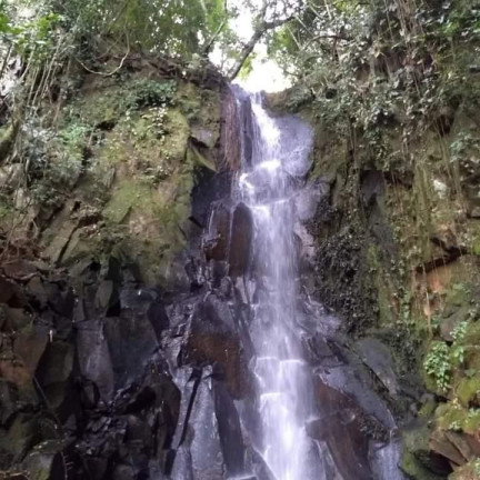 Imagem Chácara à Venda, 24 m² em Rural - Itatinga Imagem Chácara à Venda, 24 m² em Rural - Itatinga