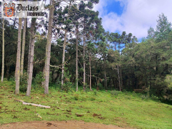 Imagem Chácara à Venda, 60.500 m² em Bom Jardim - Camanducaia Imagem Chácara à Venda, 60.500 m² em Bom Jardim - Camanducaia