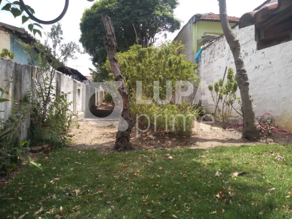 Imagem Casa com 2 Quartos à Venda, 45 m² em Vila Maria - São Paulo