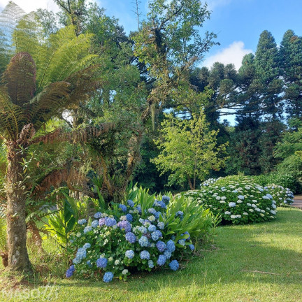 Imagem Casa com 3 Quartos à Venda, 215 m² em Mato Queimado - Gramado