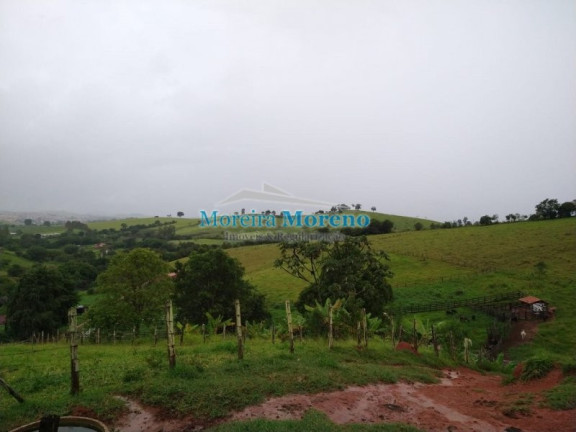 Imagem Imóvel com 1 Quarto à Venda, 11 m² em Zona Rural - Borda Da Mata