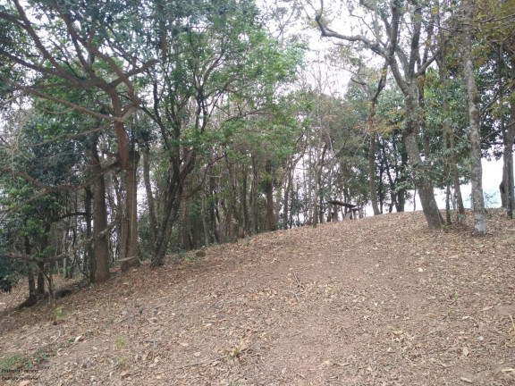 Imagem Imóvel com 6 Quartos à Venda, 300 m² em Laranjeiras - Caldas