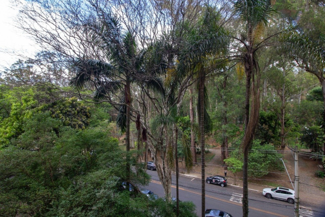 Imagem Apartamento com 4 Quartos à Venda, 605 m² em Vila Nova Conceição - São Paulo