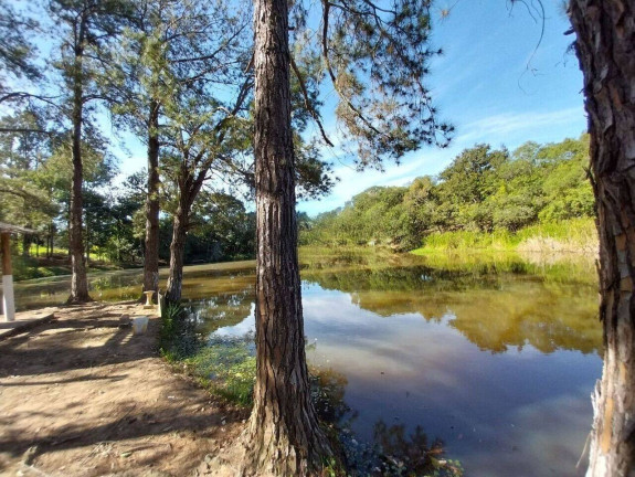 Imagem Chácara com 3 Quartos à Venda, 26.000 m² em Jardim Vista Alegre - Bragança Paulista Imagem Chácara com 3 Quartos à Venda, 26.000 m² em Jardim Vista Alegre - Bragança Paulista