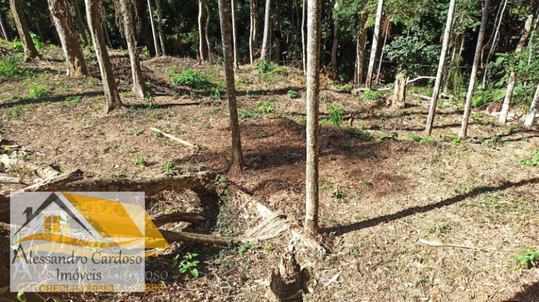 Terreno à Venda, 2.200 m² em Centro - Nova Friburgo