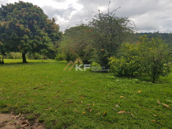 Imagem Imóvel com 2 Quartos à Venda, 800.000 m² em Zona Rural - Cajuru Imagem Imóvel com 2 Quartos à Venda, 800.000 m² em Zona Rural - Cajuru