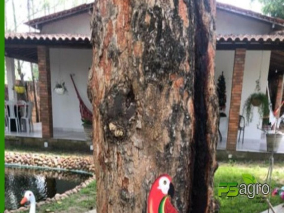 Imagem Imóvel com 5 Quartos à Venda, 1 m² em Zona Rural - Pedras De Fogo