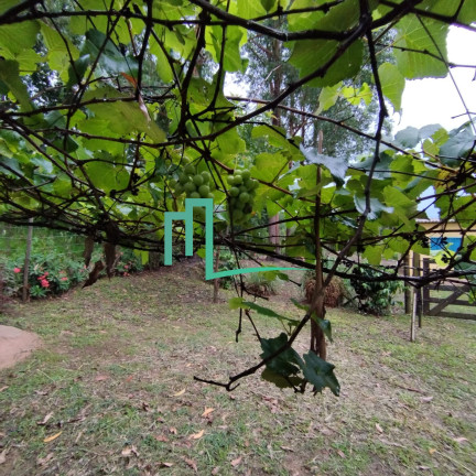 Imagem Imóvel com 2 Quartos à Venda, em Zona Rural - São Sebastião Do Paraíso Imagem Imóvel com 2 Quartos à Venda, em Zona Rural - São Sebastião Do Paraíso
