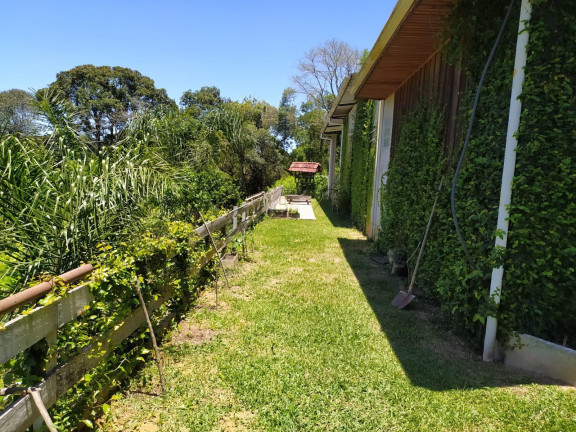 Imagem Imóvel com 3 Quartos à Venda, 27.000 m² em Centro - Contenda