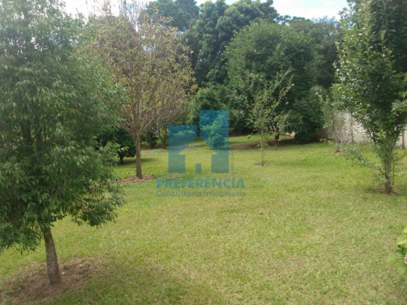 Imagem Imóvel com 2 Quartos à Venda, 1.026 m² em Colônia Dona Luíza - Ponta Grossa