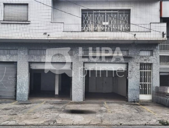 Imagem Imóvel Comercial para Alugar, 265 m² em Vila Ede - São Paulo