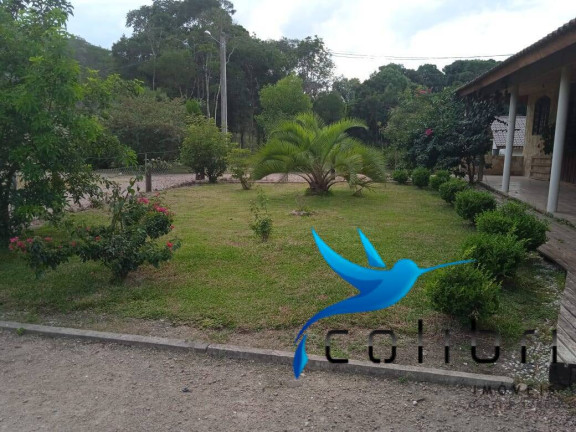 Imagem Chácara com 5 Quartos à Venda, 4.840 m² em Pedra Branca - Agudos Do Sul Imagem Chácara com 5 Quartos à Venda, 4.840 m² em Pedra Branca - Agudos Do Sul