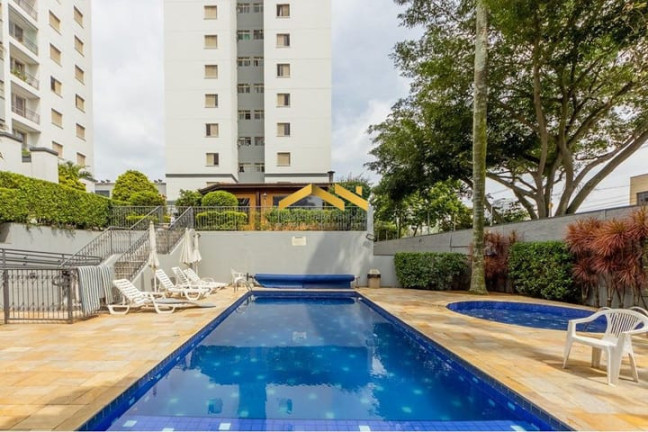 Imagem Apartamento com 3 Quartos à Venda, 61 m² em Vila Santa Catarina - São Paulo