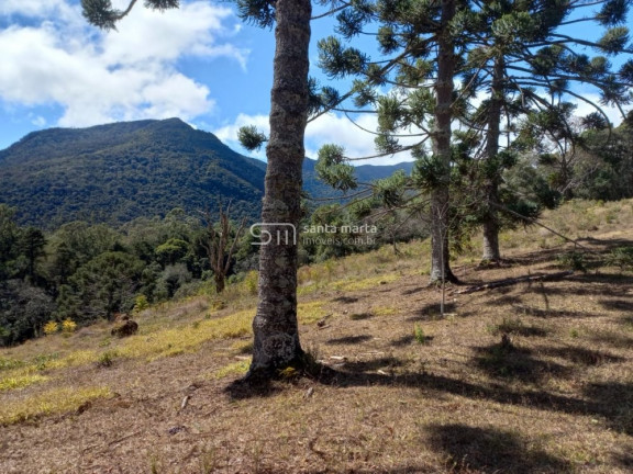 Imagem Imóvel à Venda, 45.900 m² em Bairro Da Estaca - Itamonte