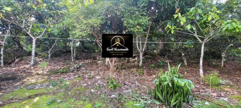 Imagem Fazenda à Venda, 8 m² em Zona Rural - Ubaitaba Imagem Fazenda à Venda, 8 m² em Zona Rural - Ubaitaba