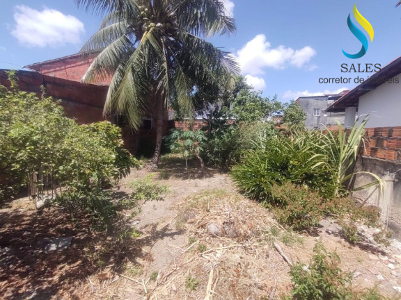 Imagem Casa com 4 Quartos à Venda, 200 m² em Passaré - Fortaleza Imagem Casa com 4 Quartos à Venda, 200 m² em Passaré - Fortaleza