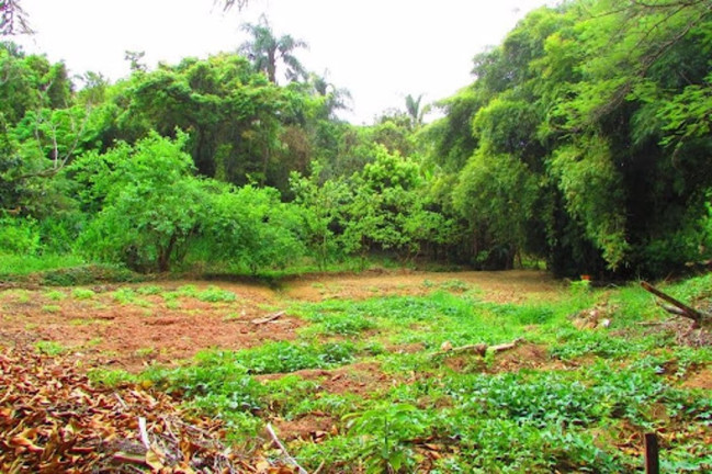Imagem Imóvel à Venda, 3.534 m² em Nova Gardênia - Atibaia Imagem Imóvel à Venda, 3.534 m² em Nova Gardênia - Atibaia