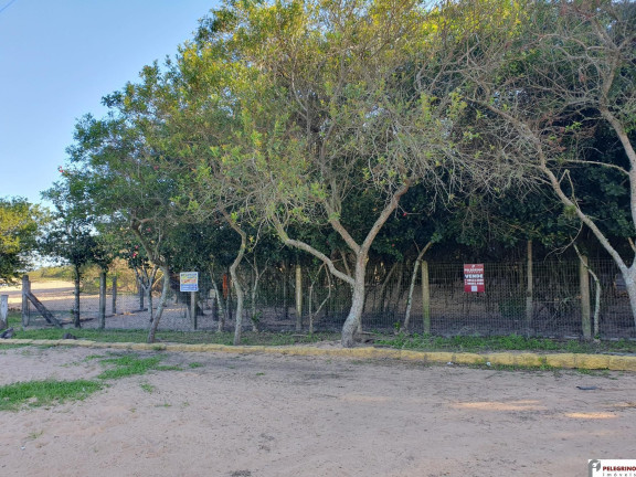 Terreno à Venda, 625 m² em Santo Antônio - Tapes