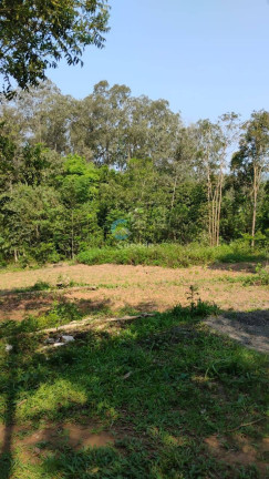 Imagem Chácara à Venda, 4 m² em Estrada Arroio Passo Fundo - Gravataí