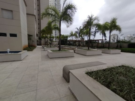 Imagem Apartamento com 2 Quartos para Alugar, 63 m² em Marapé - Santos Imagem Apartamento com 2 Quartos para Alugar, 63 m² em Marapé - Santos