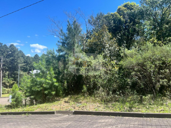 Imagem Terreno à Venda, 450 m² em Linha Imperial - Nova Petrópolis