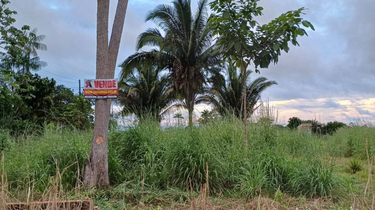 Terreno à Venda, 5.000 m² em Mato Grosso - Porto Velho