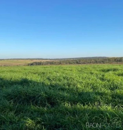 Imagem Fazenda à Venda, 2.032.800 m² em Zona Rural - Guaraci