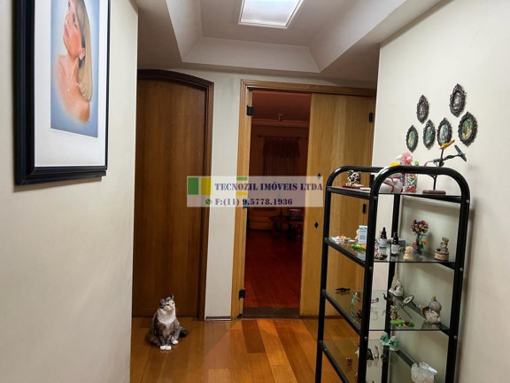 Imagem Apartamento com 3 Quartos à Venda, 134 m² em Aclimação - São Paulo Imagem Apartamento com 3 Quartos à Venda, 134 m² em Aclimação - São Paulo
