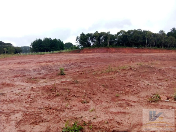 Imagem Terreno à Venda, 4.411 m² em Campo Largo Da Roseira - São José Dos Pinhais Imagem Terreno à Venda, 4.411 m² em Campo Largo Da Roseira - São José Dos Pinhais