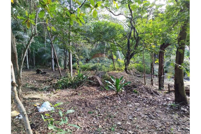 Terreno à Venda, 600 m² em Praia Do Forte - Mata De São João