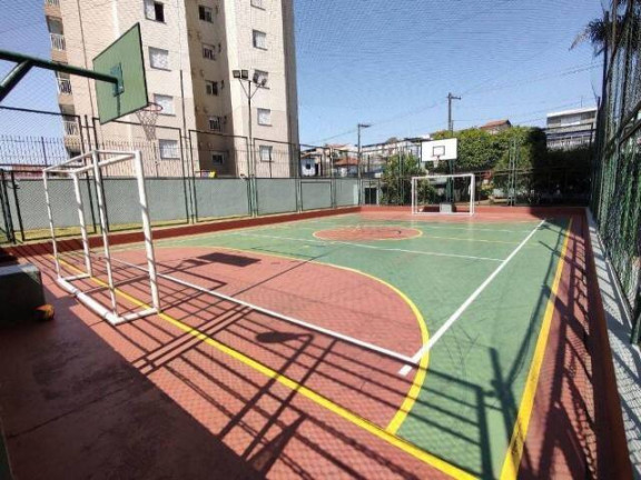 Imagem Apartamento com 3 Quartos à Venda, 65 m² em Chácara Belenzinho - São Paulo Imagem Apartamento com 3 Quartos à Venda, 65 m² em Chácara Belenzinho - São Paulo