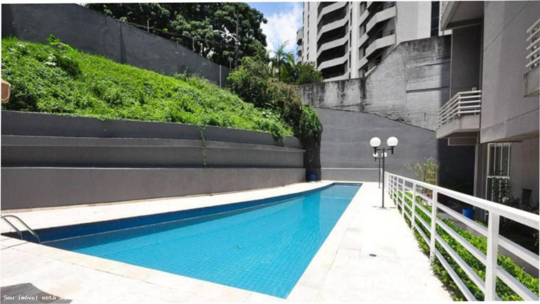 Imagem Apartamento com 2 Quartos à Venda, 86 m² em Vila Suzana - São Paulo Imagem Apartamento com 2 Quartos à Venda, 86 m² em Vila Suzana - São Paulo