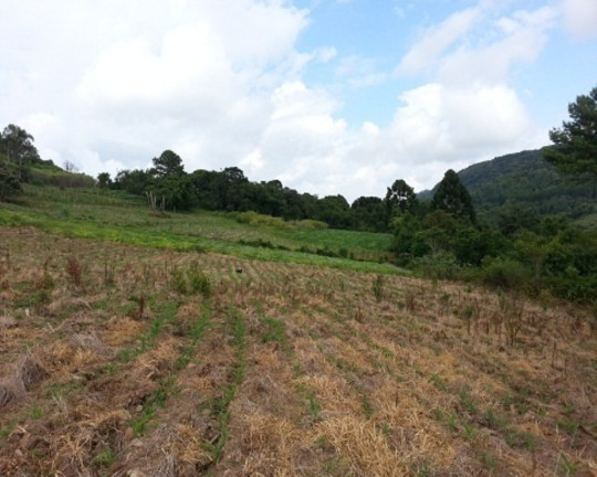 Imagem Terreno à Venda, 30 m² em Linha Bonita - Gramado Imagem Terreno à Venda, 30 m² em Linha Bonita - Gramado