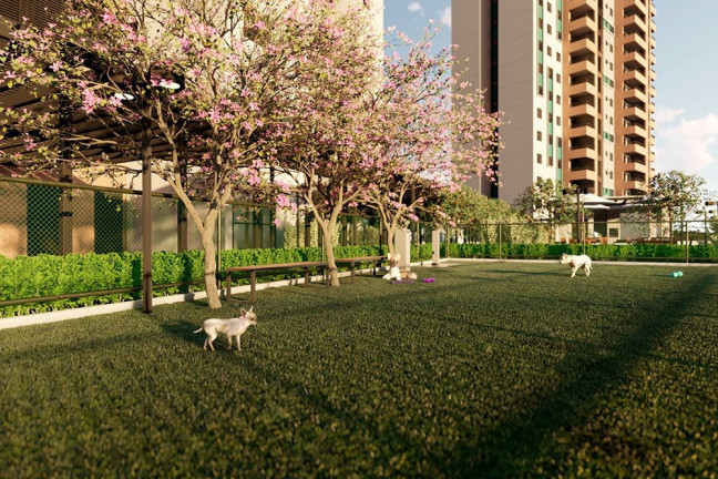 Imagem Apartamento com 3 Quartos à Venda, 110 m² em Engordadouro - Jundiaí Imagem Apartamento com 3 Quartos à Venda, 110 m² em Engordadouro - Jundiaí