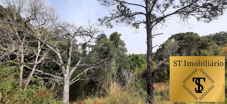 Imagem Chácara com 3 Quartos à Venda, 72.000 m² em Estância Santa Maria Do Portão - Atibaia Imagem Chácara com 3 Quartos à Venda, 72.000 m² em Estância Santa Maria Do Portão - Atibaia