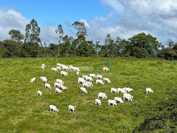 Imagem Imóvel com 4 Quartos à Venda, 5.870.000 m² em Caraiva - Porto Seguro