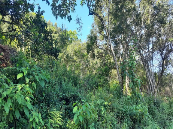 Imagem Terreno à Venda, 3 m² em São Jacó - Nova Petrópolis Imagem Terreno à Venda, 3 m² em São Jacó - Nova Petrópolis