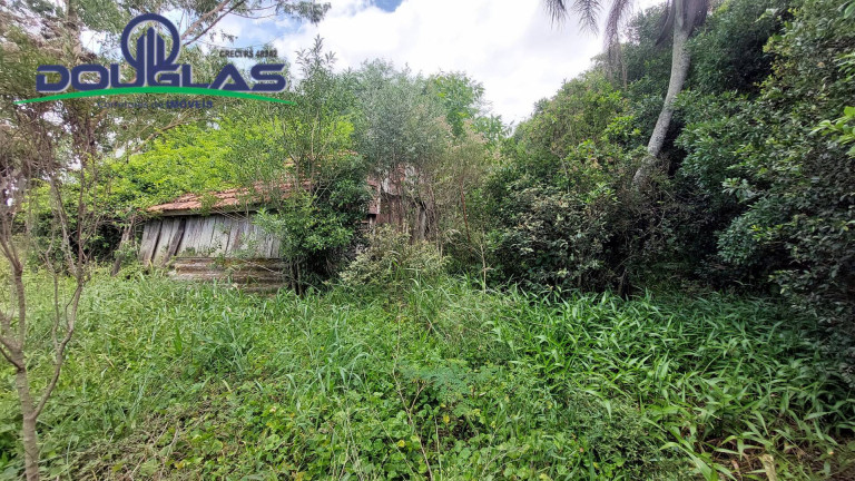 Imagem Chácara à Venda, 20.000 m² em águas Claras - Viamão Imagem Chácara à Venda, 20.000 m² em águas Claras - Viamão