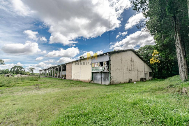 Imagem Chácara com 2 Quartos à Venda, 107 m² em Capoeira Dos Dinos - Piraquara