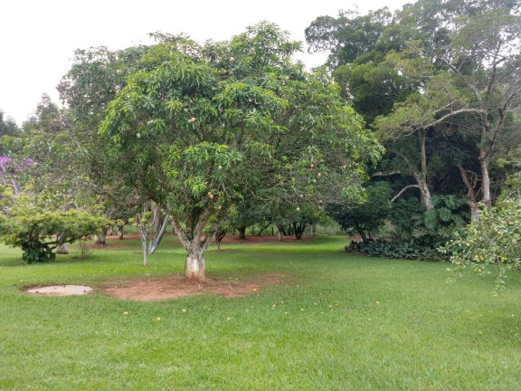 Imagem Chácara com 2 Quartos à Venda, 10 m² em Cerrado - Alambari