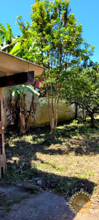 Imagem Terreno à Venda, 500 m² em Perequê Açu - Ubatuba Imagem Terreno à Venda, 500 m² em Perequê Açu - Ubatuba