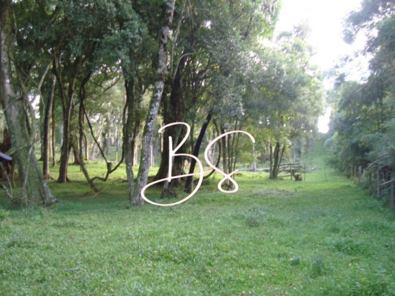 Imagem Terreno à Venda, 50.000 m² em Linha Bonita - Gramado Imagem Terreno à Venda, 50.000 m² em Linha Bonita - Gramado