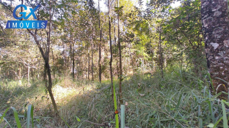 Imagem Imóvel à Venda, 5.650 m² em Condominio Nossa Fazenda - Esmeraldas Imagem Imóvel à Venda, 5.650 m² em Condominio Nossa Fazenda - Esmeraldas