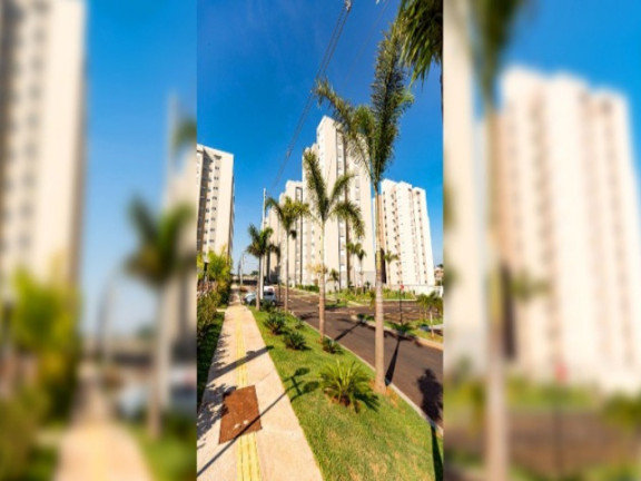 Imagem Apartamento com 2 Quartos à Venda, 49 m² em Jardim Maria Luíza - Sumaré Imagem Apartamento com 2 Quartos à Venda, 49 m² em Jardim Maria Luíza - Sumaré