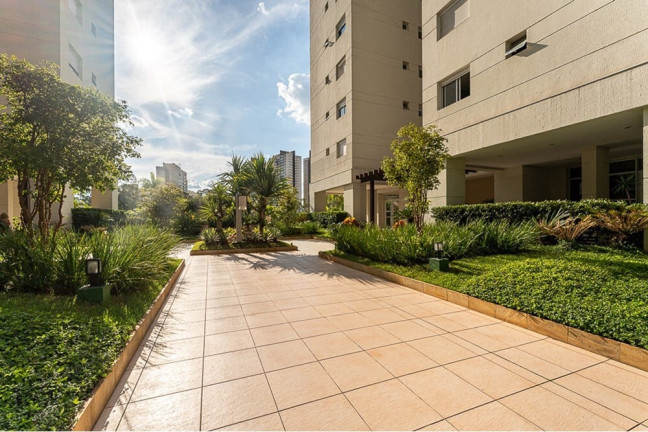 Imagem Imóvel com 3 Quartos à Venda, 107 m² em Vila Andrade - São Paulo