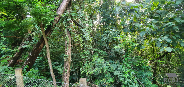 Imagem Terreno à Venda, 1.000 m² em Retiro Do Chalé - Brumadinho