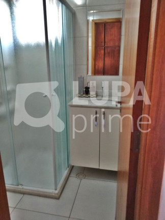 Imagem Apartamento com 3 Quartos à Venda, 66 m² em Vila Guilherme - São Paulo