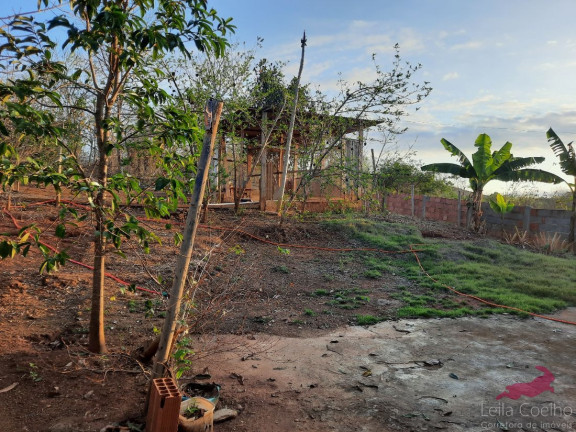 Imagem Chácara com 3 Quartos à Venda, 100 m² em São Caetano - Italva Imagem Chácara com 3 Quartos à Venda, 100 m² em São Caetano - Italva